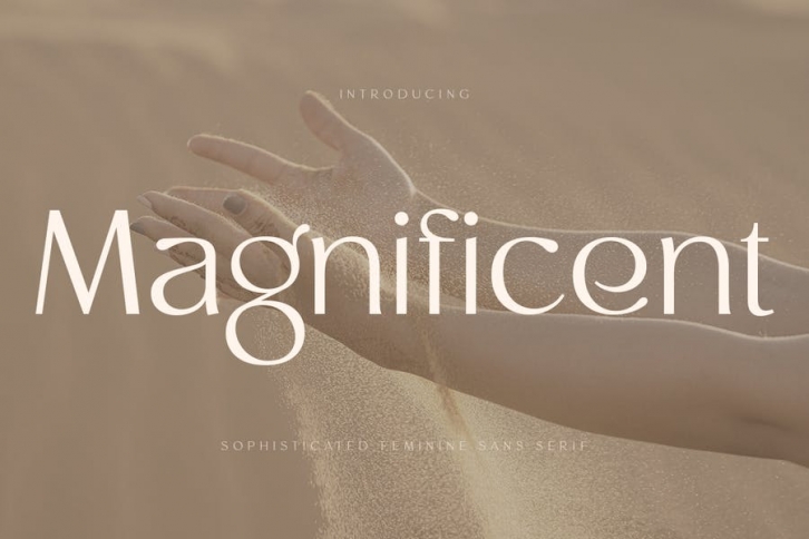 Magnificent - Modern Feminine Vintage Font Font Download