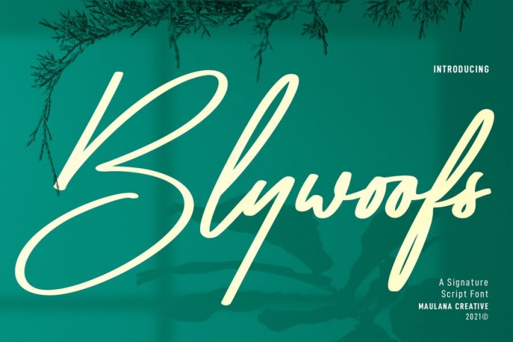 Blywoofs Signature Font Font Download
