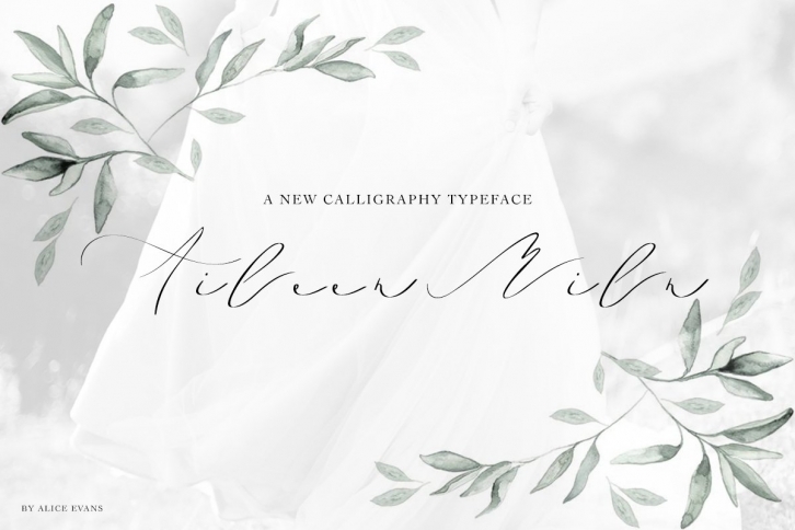 Aileen Miln Calligraphy typeface Font Download