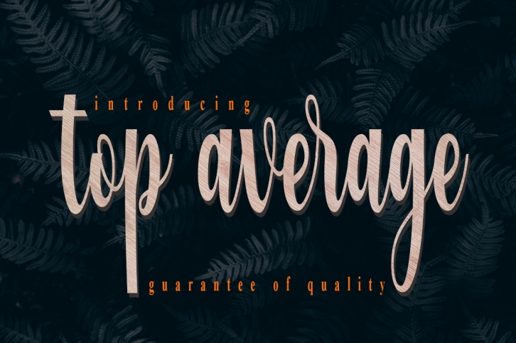 Top Average Font Download