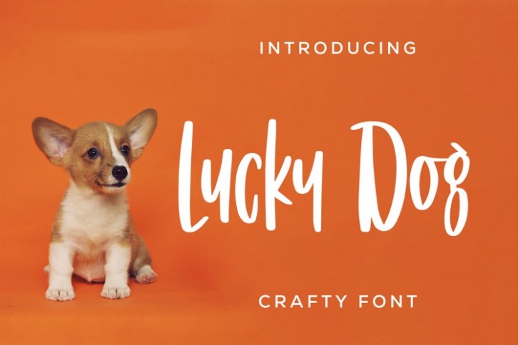 Lucky Dog Font Download