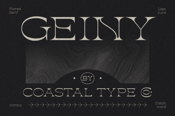 Geiny Font Download