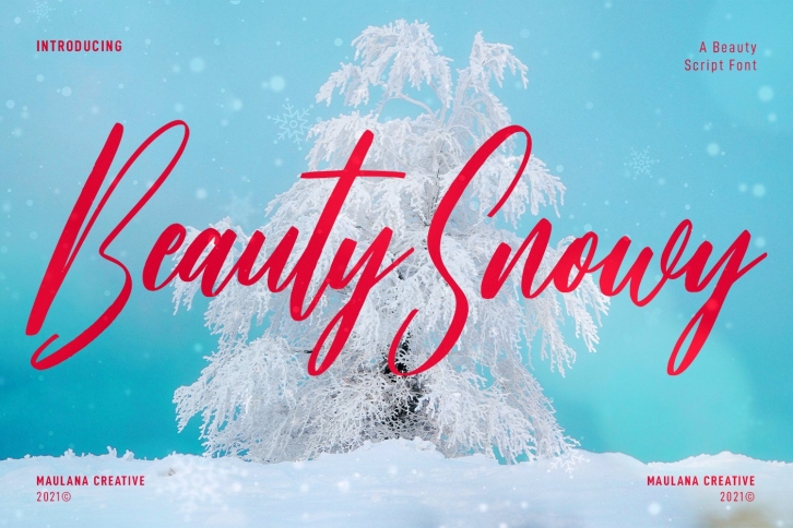 Beauty Snowy Script Font Download