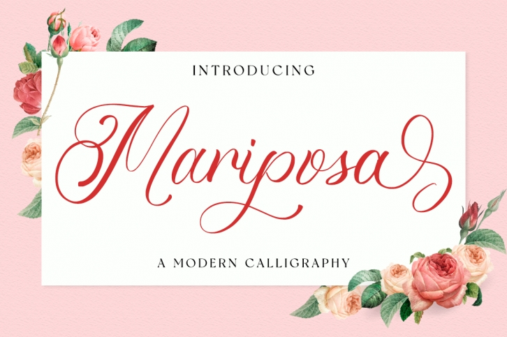 Mariposa Font Download