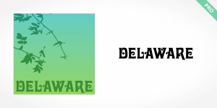Delaware Pro Font Download