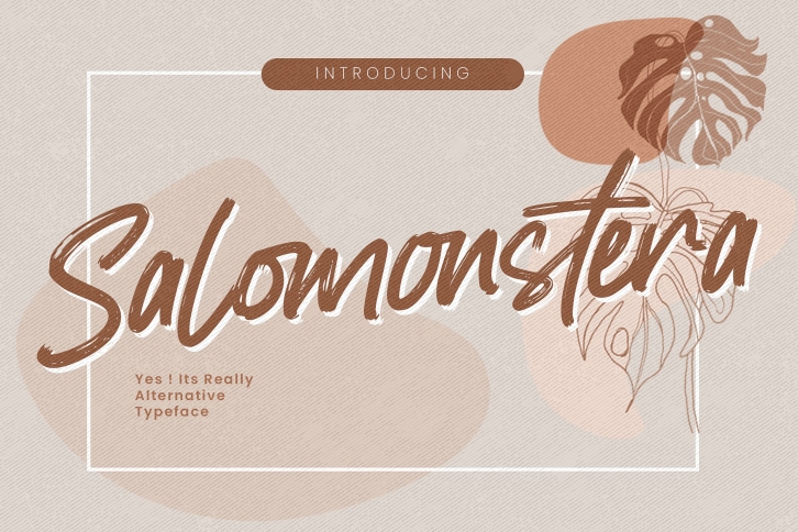 Salomonstera Font Download