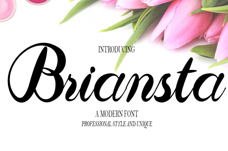 Briansta Font Download