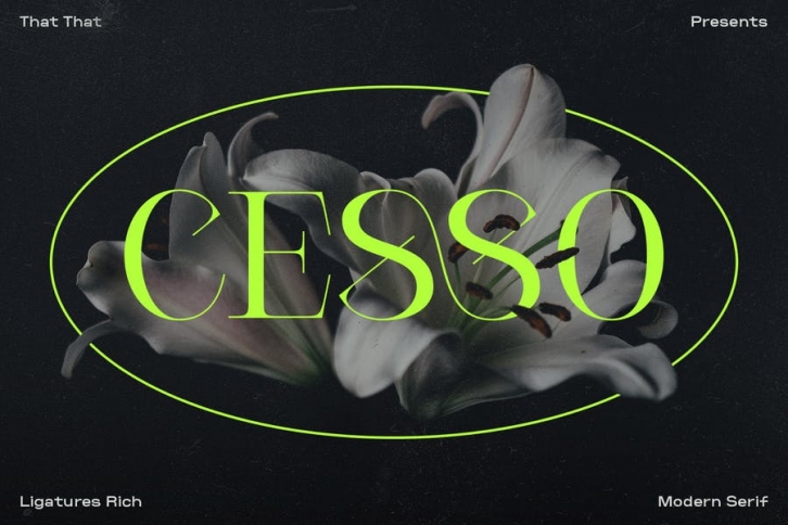 Cesso Ligature Display Serif Font Download