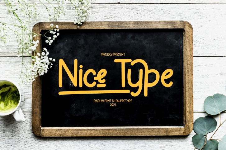 Nice Type Font Download