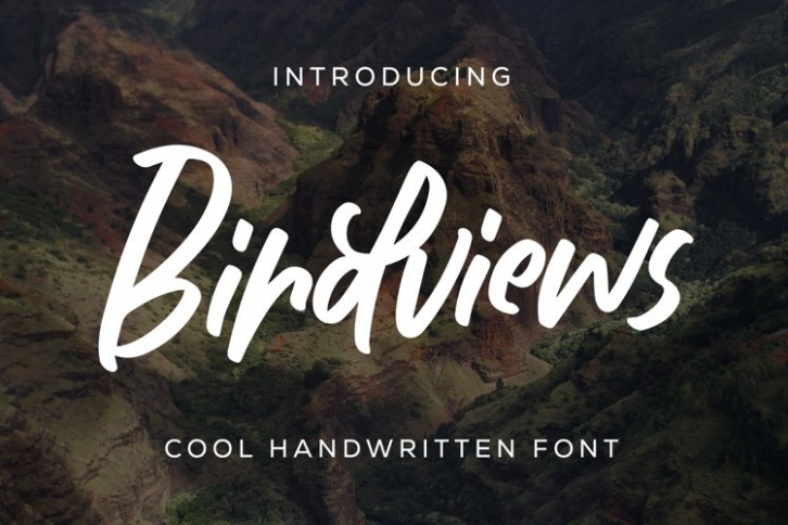 Birdviews Font Download