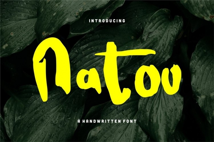 Natoo Font Download