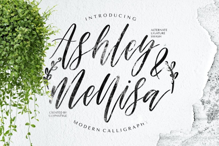 Ashley & Mellisa Modern Calligraphy Font Download