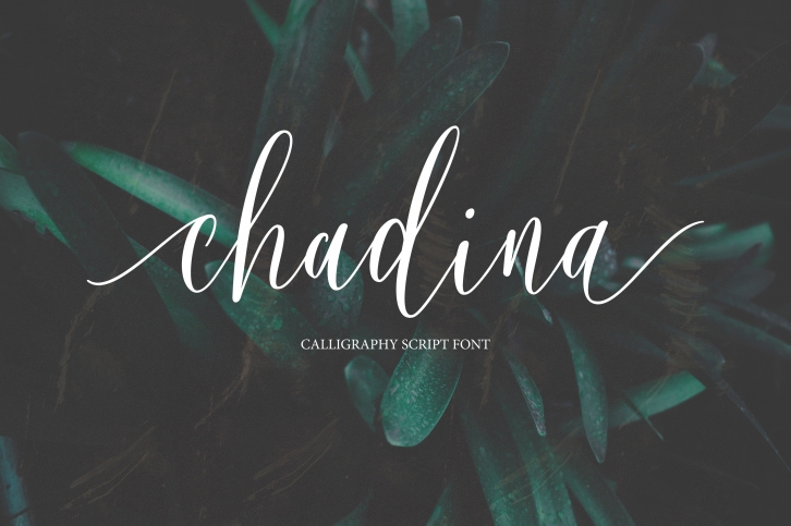 Chadina Script Font Download