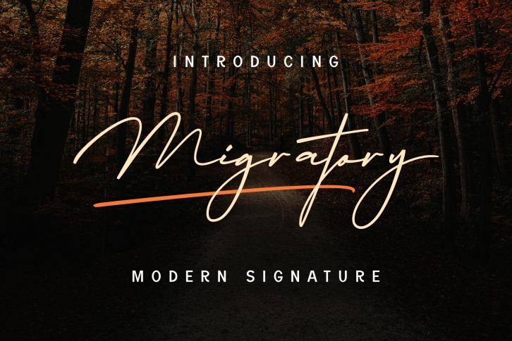 Migratory Font Download