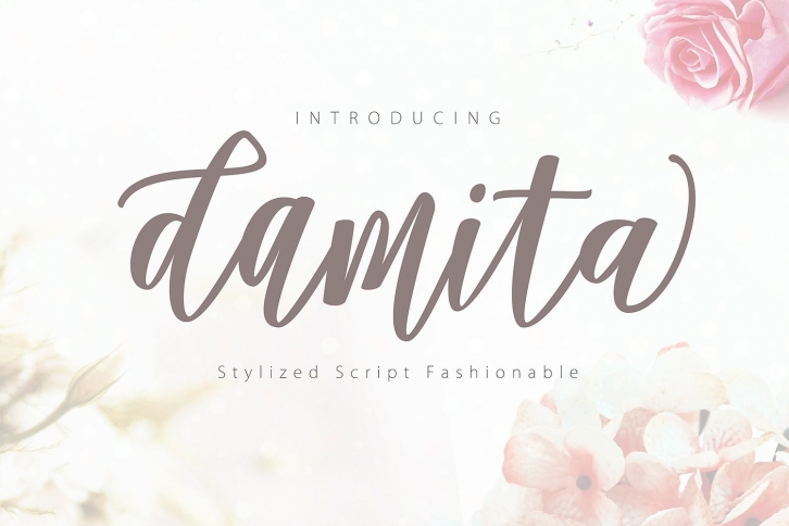 Damita Script Font Download