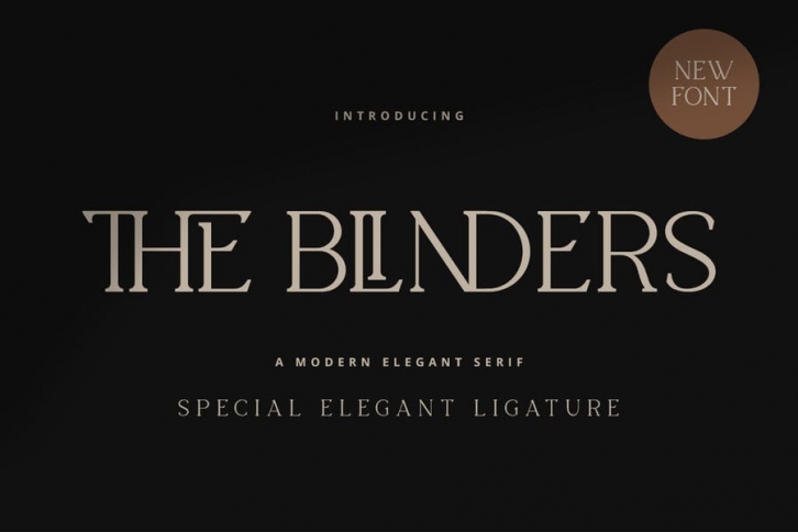 The Blinders - Elegant Serif Font Font Download