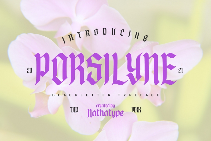 Porsilyne Font Download