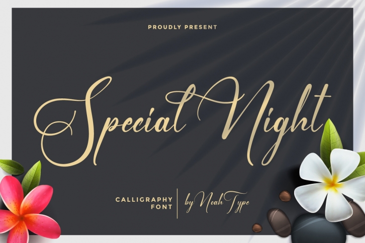 Special Night Font Download