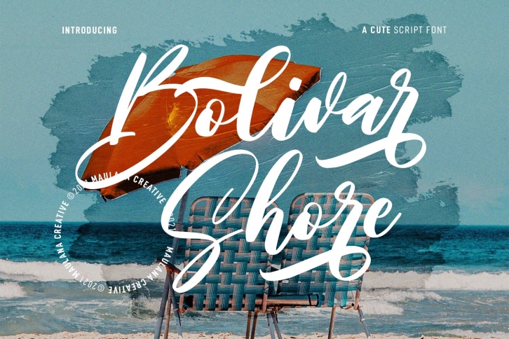 Bolivar Shore Cute Script Font Download