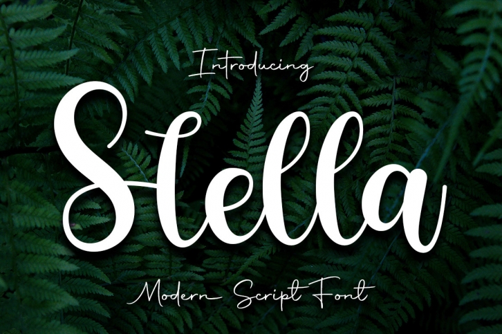 Stella Font Download