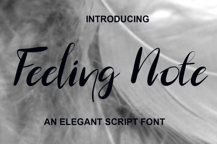 Feeling Note Font Download