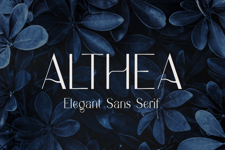 Althea Font Download