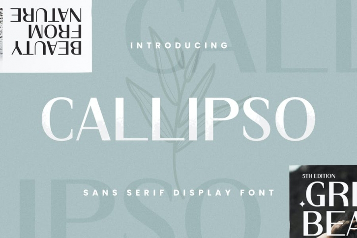 Callipso Font Download