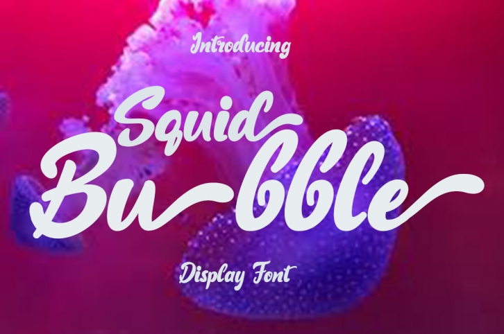 Squid Bubble Font Download
