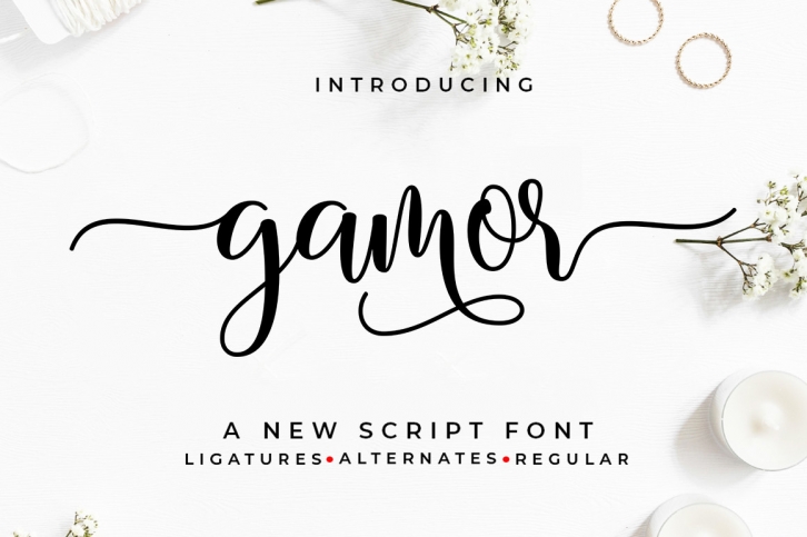 Gamor Font Download