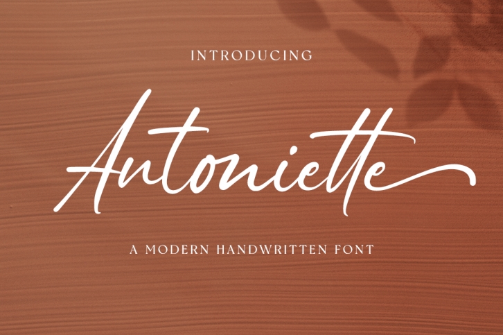 Antoniette Font Download