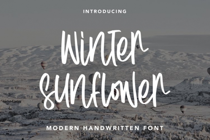 WinterSunflower Font Download