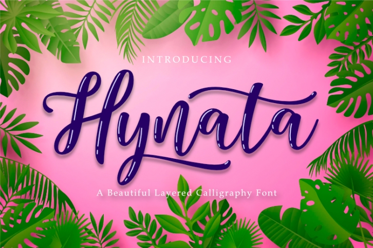 Hynata Font Download