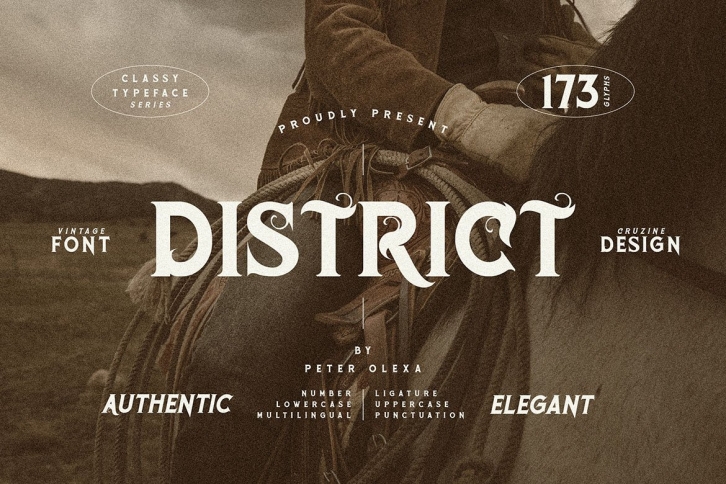 District Vintage Serif Font Download