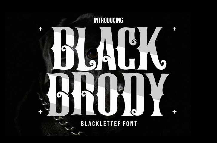 Black Brody Font Download
