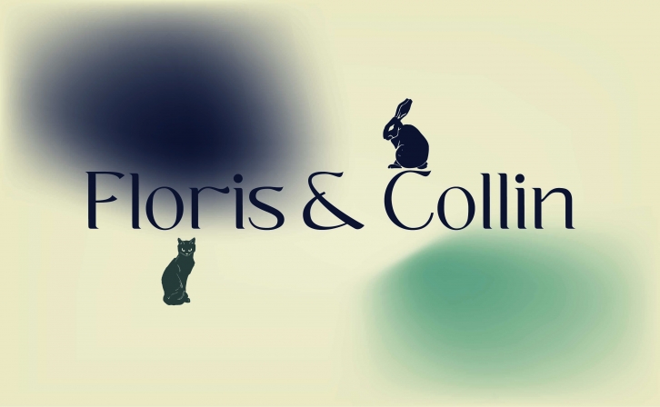 Floris  Collin Display Font Download