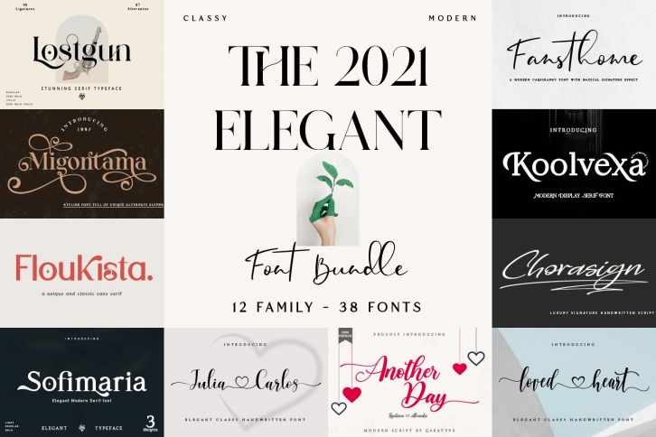 The 2021 Elegant BUNDLE-12 Typefaces Font Download