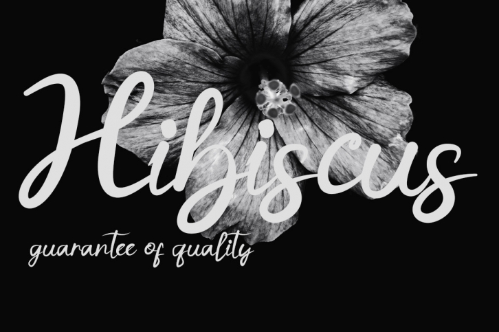 Hibiscus Font Download