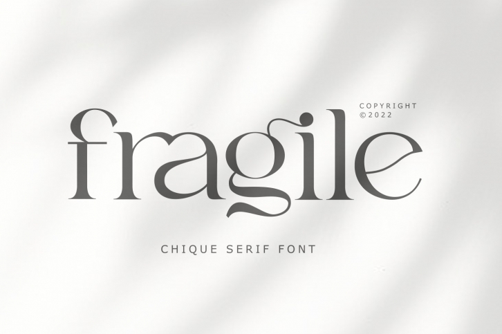 fragile serif font Font Download