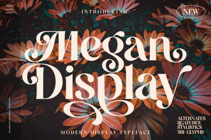 Megan Display Font Download