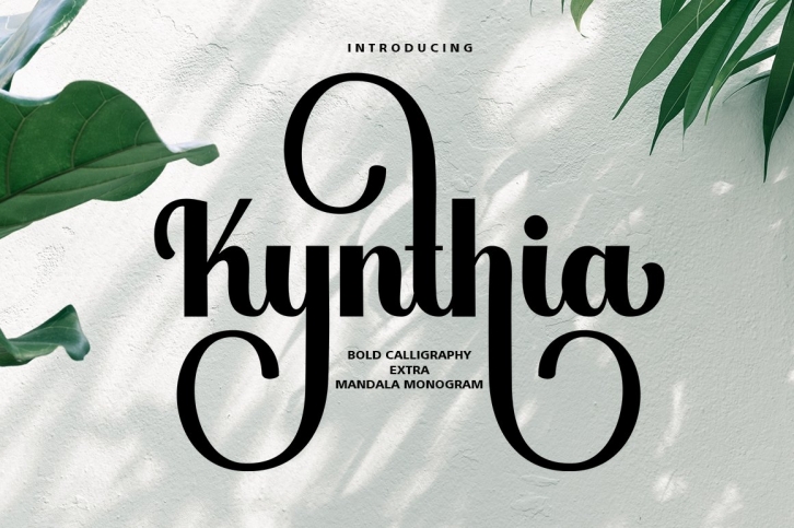 Kynthia Script-Extra Mandala Monogram Font Download