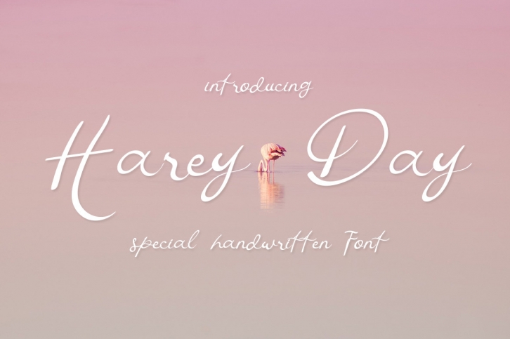 Harey Day Font Download