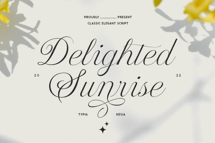 Delighted Sunrise - Elegant Wedding Script Font Font Download