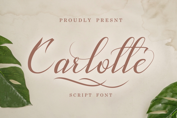 Carlotte Font Download