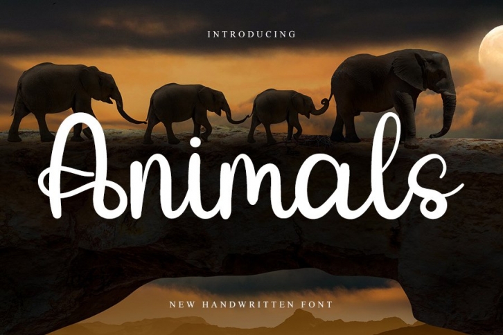 Animals Font Download