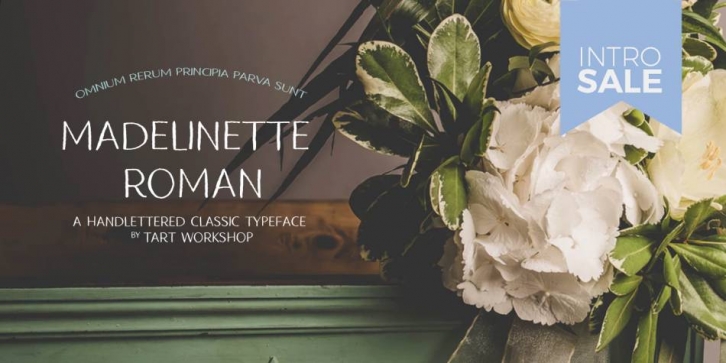 Madelinette Roman Font Download