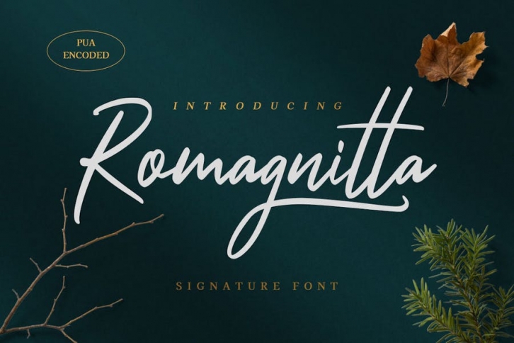 Romagnitta - Signature Font Font Download