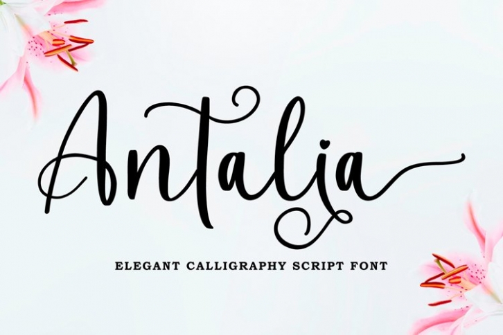 Antalia Elegant Calligraphy Font Download