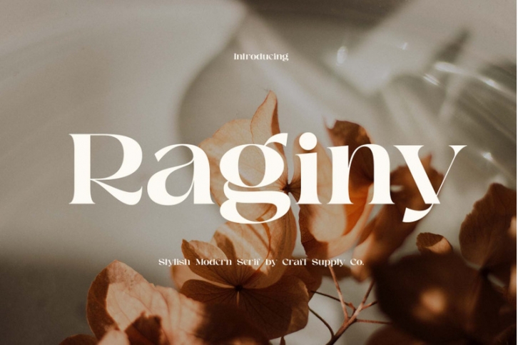 Raginy - Stylish Modern Serif Font Download