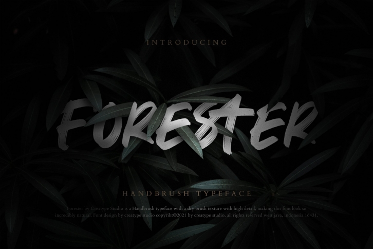 Forester Handbrush Business Font Download