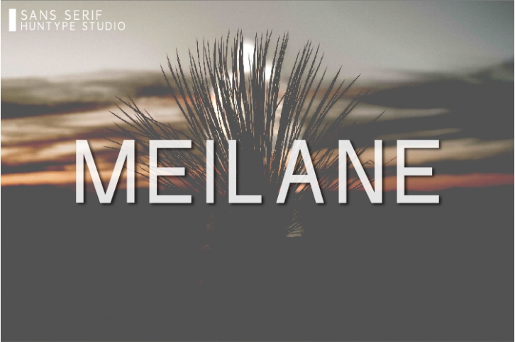 Meilane Font Download